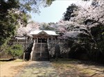 saigyomiti_008