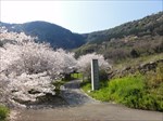 saigyomiti_012