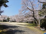saigyomiti_077