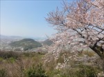 saigyomiti_093
