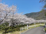 saigyomiti_104