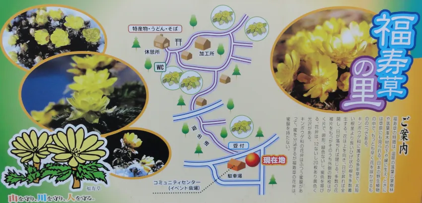 guide